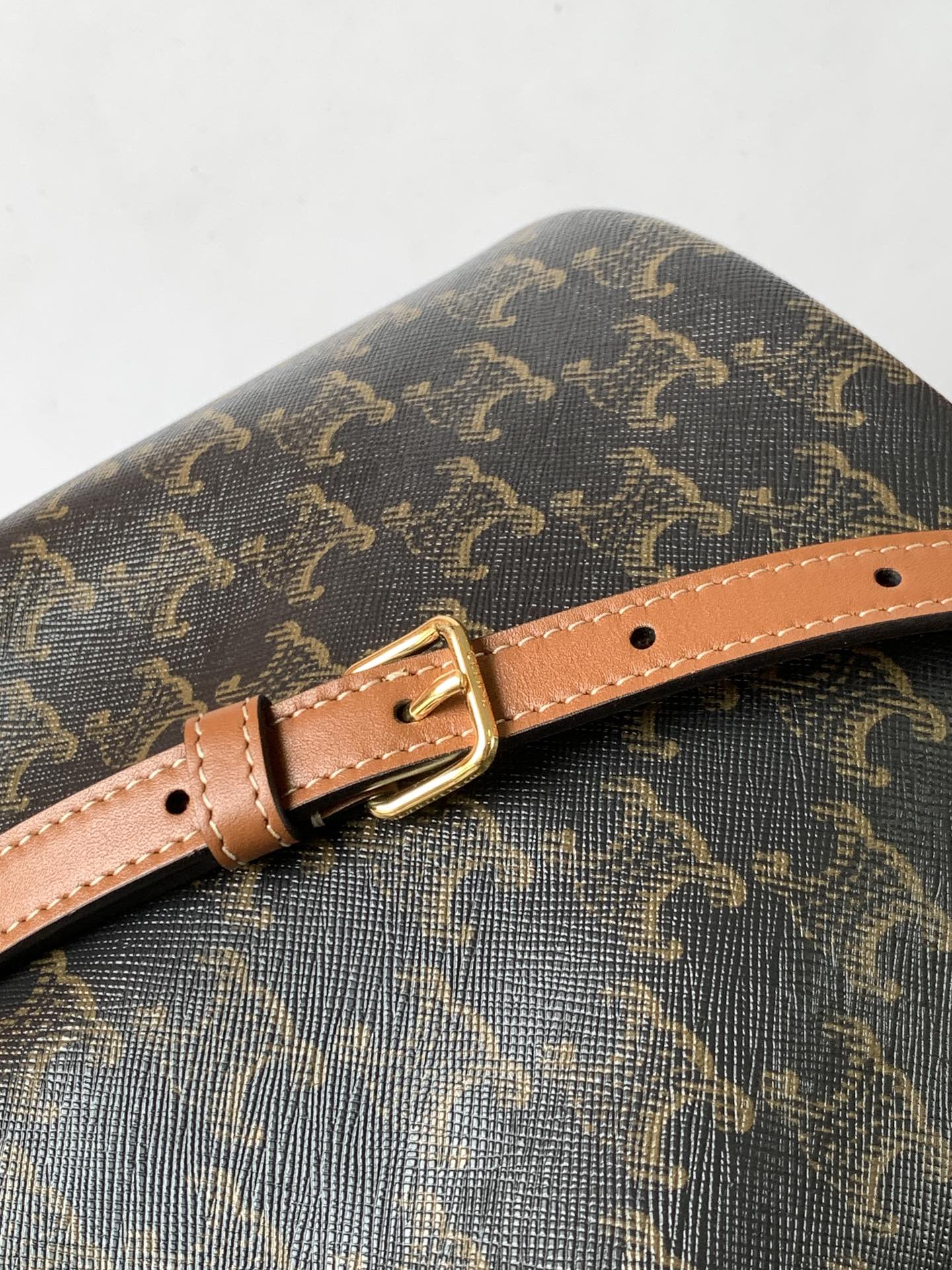 Celine CLARA BAG in TRIOMPHE CANVAS & CALFSKIN 4 Celine CLARA BAG in TRIOMPHE CANVAS & CALFSKIN - Image 4