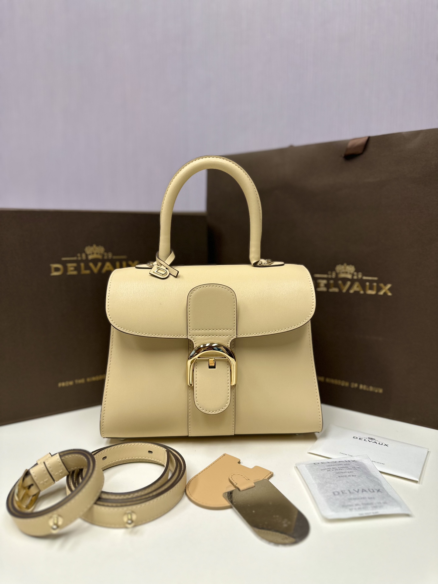Delvaux New version of double ring Brillant box leather in stock ⚠️ Lambskin lining Comes with an adjustable long shoulder strap, mirror and small charm. Size 24*12*19