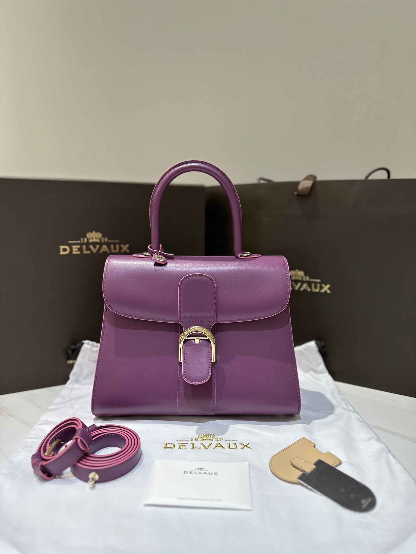 Delvaux New version of double ring Brillant box leather in stock ⚠️ Lambskin lining Comes with an adjustable long shoulder strap, mirror and small charm. Size 28