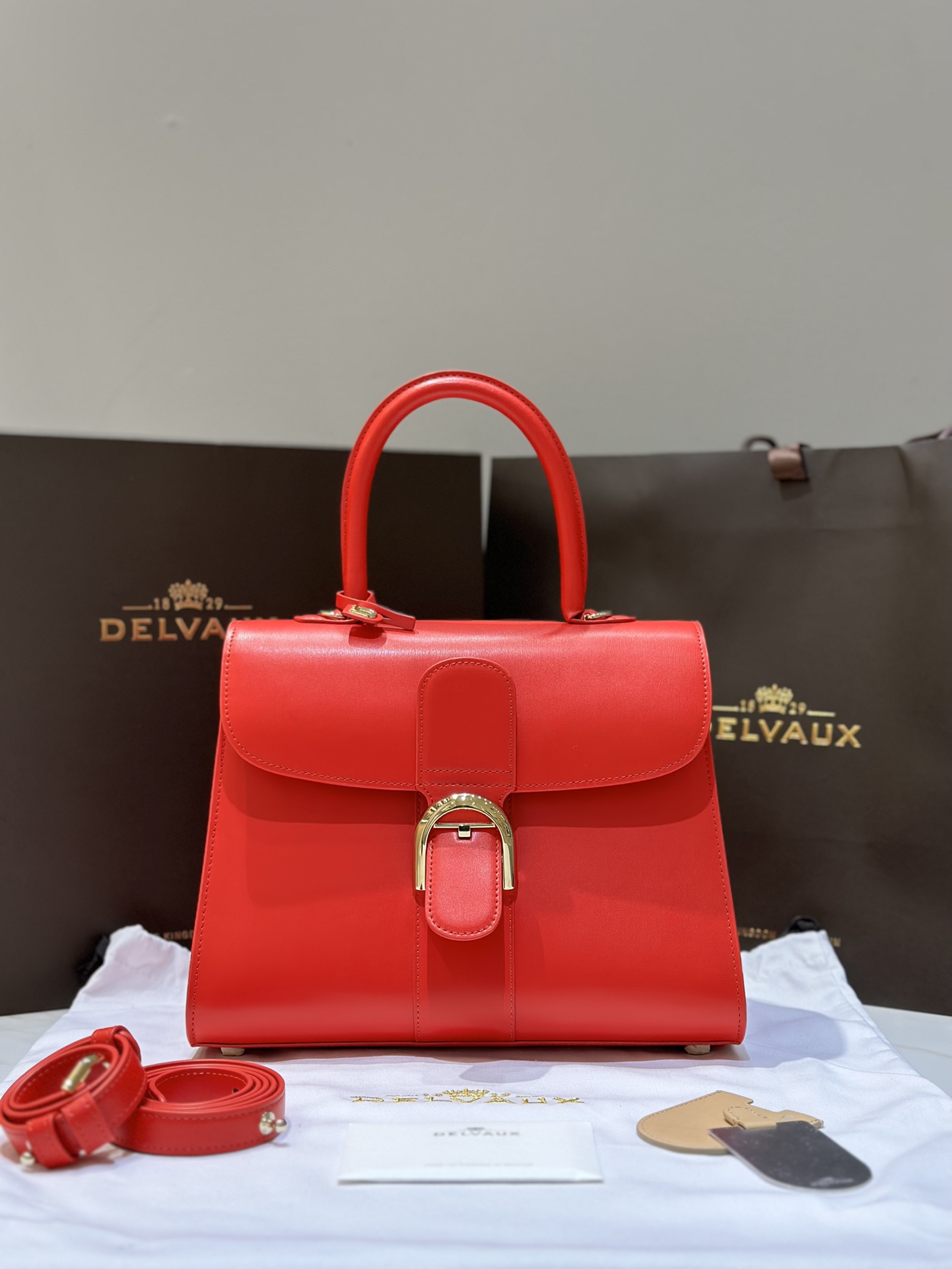 Delvaux New version of double ring Brillant box leather in stock ⚠️ Lambskin lining Comes with an adjustable long shoulder strap, mirror and small charm. Size 28