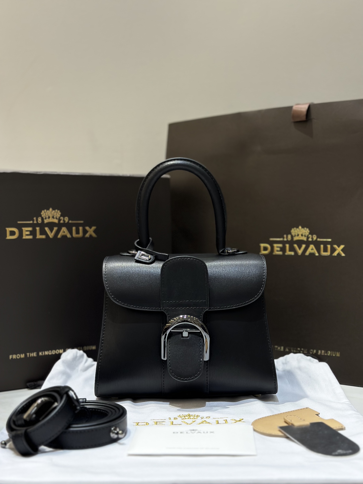 Delvaux New version of double ring Brillant box leather in stock ⚠️ Lambskin lining Comes with an adjustable long shoulder strap, mirror and small charm. Size 20