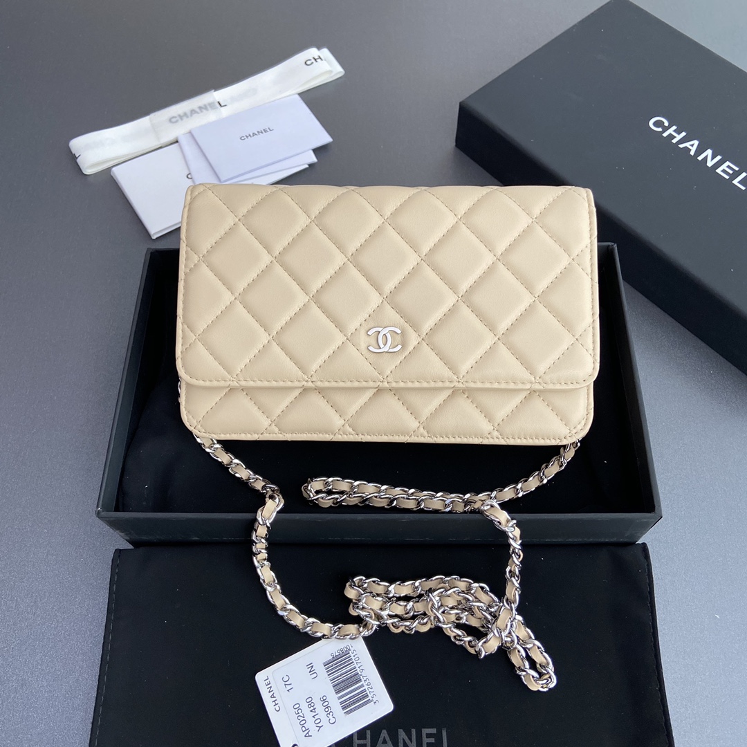 CHANEL Apricot lambskin with silver steel logow20×h13×d3.5cm