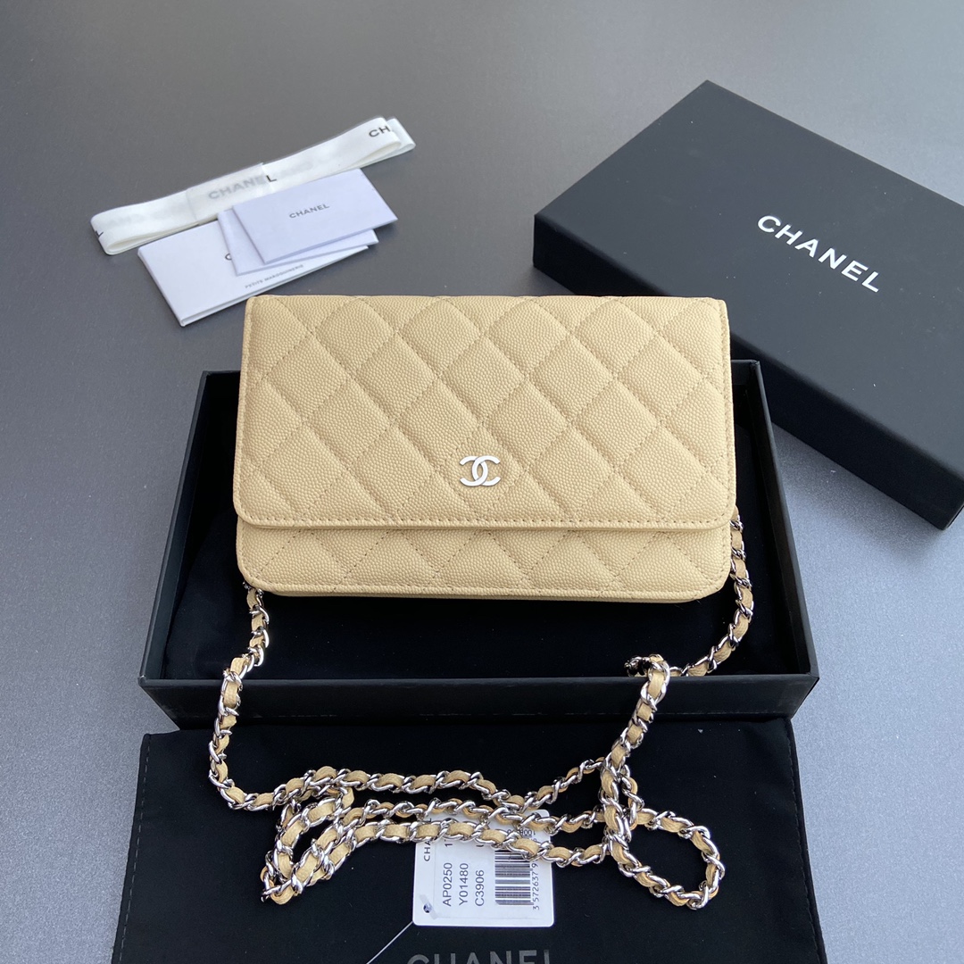 CHANEL Apricot with fine ball pattern w20×h13×d3.5cm